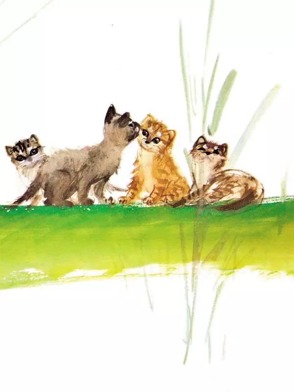 Михаил Вирозуб - Удивительные кошачьи истории - Страница № 25 Михаил Вирозуб - Удивительные кошачьи истории - Страница № 25