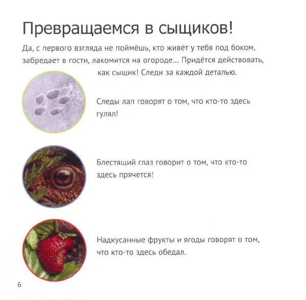 Майк Анвин - Кто живет у нас на даче. От мала до велика - Страница № 9