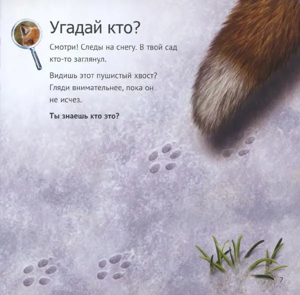 Майк Анвин - Кто живет у нас на даче. От мала до велика - Страница № 10