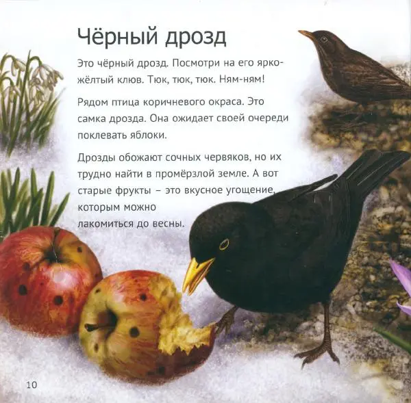 Майк Анвин - Кто живет у нас на даче. От мала до велика - Страница № 13