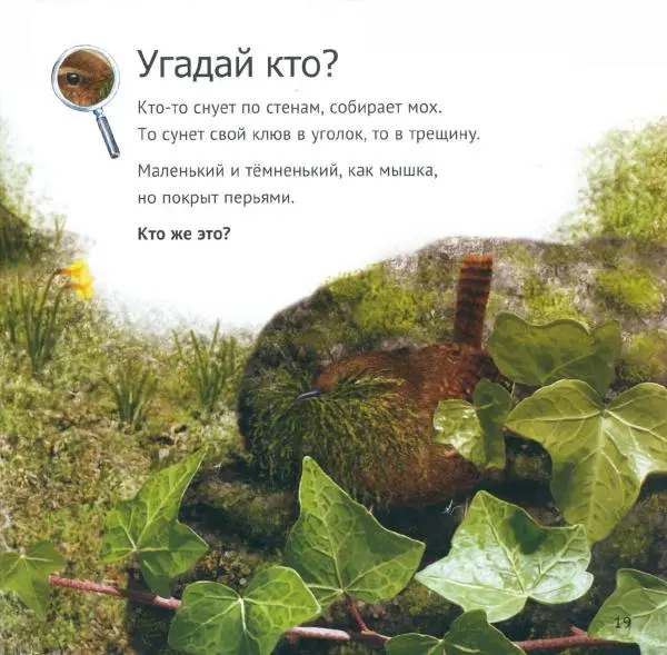 Майк Анвин - Кто живет у нас на даче. От мала до велика - Страница № 22