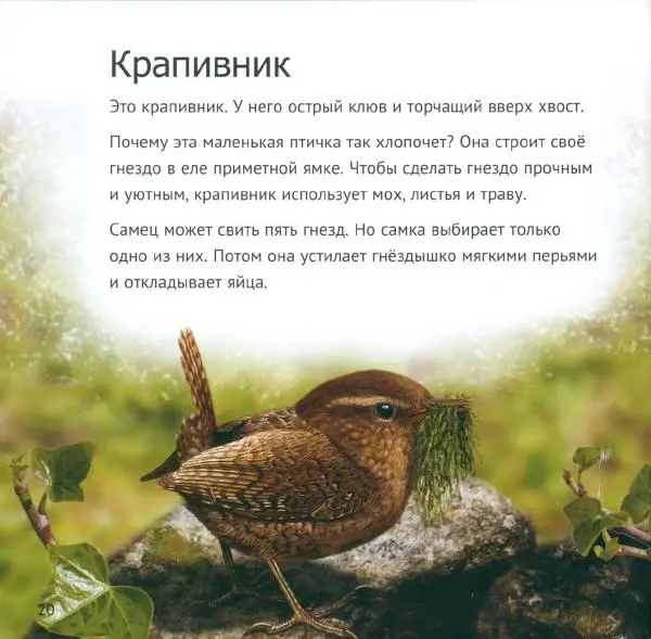 Майк Анвин - Кто живет у нас на даче. От мала до велика - Страница № 23