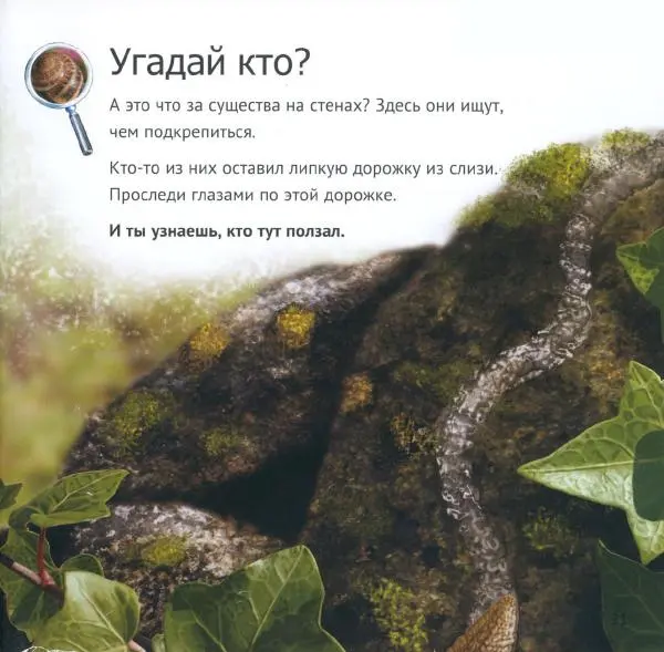 Майк Анвин - Кто живет у нас на даче. От мала до велика - Страница № 24