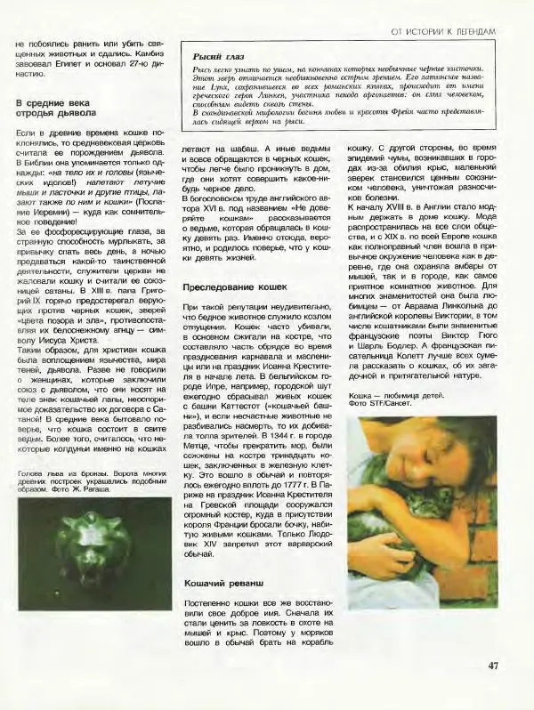 Бернар Брие - Мифы и легенды. Дикие кошки - Страница № 49