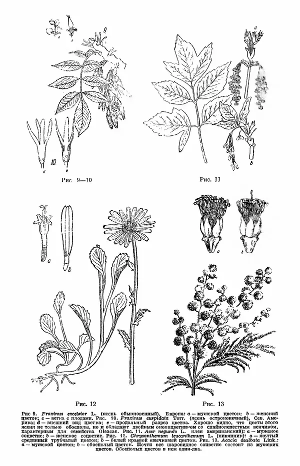 Чарльз Дарвин - Собрание сочинений в 9 томах. Том 7. Различные формы цветов. Насекомоядные растения - Страница № 17