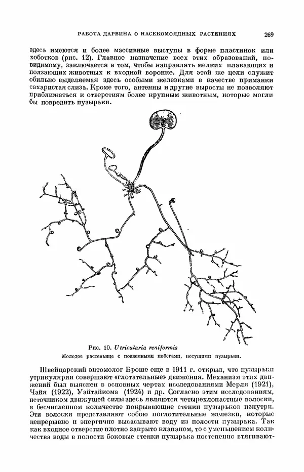 Чарльз Дарвин - Собрание сочинений в 9 томах. Том 7. Различные формы цветов. Насекомоядные растения - Страница № 267