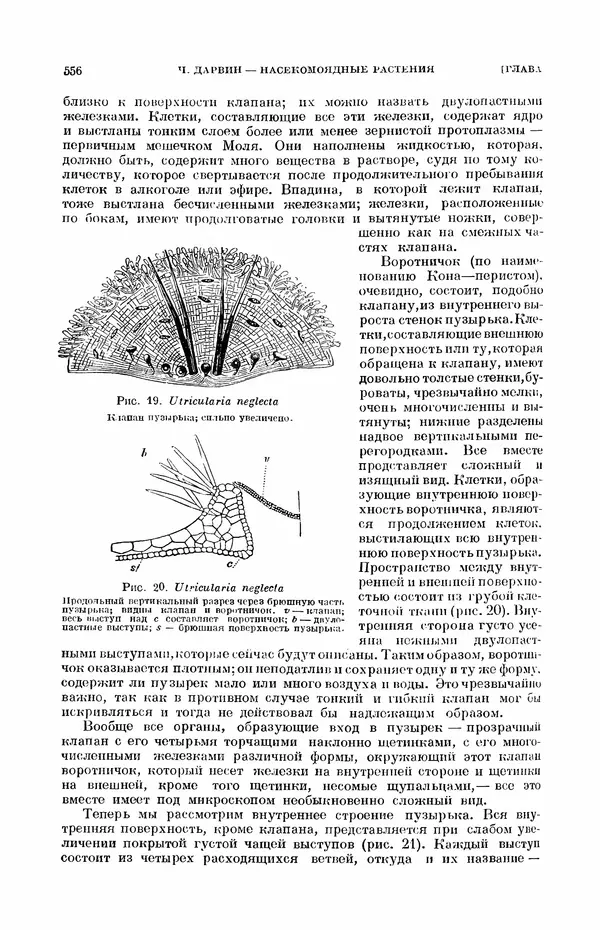 Чарльз Дарвин - Собрание сочинений в 9 томах. Том 7. Различные формы цветов. Насекомоядные растения - Страница № 554