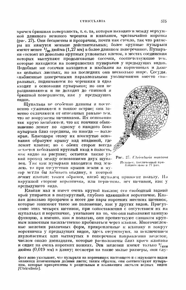 Чарльз Дарвин - Собрание сочинений в 9 томах. Том 7. Различные формы цветов. Насекомоядные растения - Страница № 573