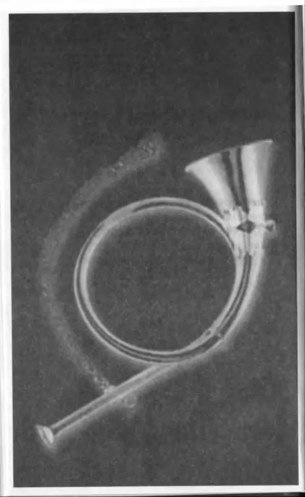 Владимир Вишневский - Антология сатиры и юмора России XX века. Том 13. Владимир Вишневский - Страница № 42