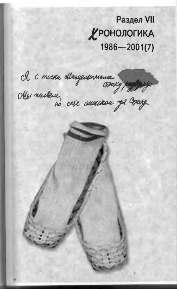 Владимир Вишневский - Антология сатиры и юмора России XX века. Том 13. Владимир Вишневский - Страница № 215