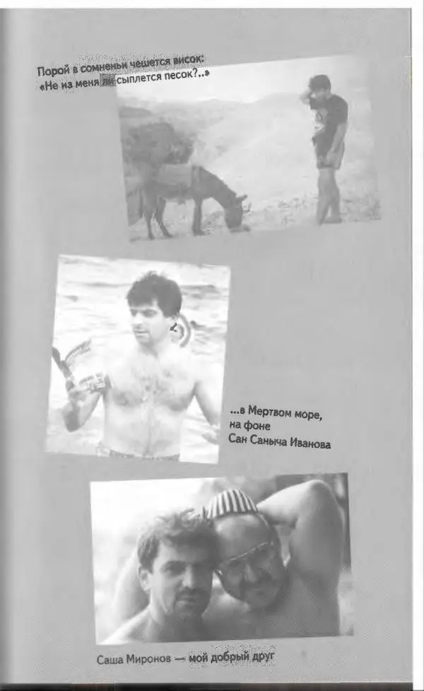 Владимир Вишневский - Антология сатиры и юмора России XX века. Том 13. Владимир Вишневский - Страница № 355