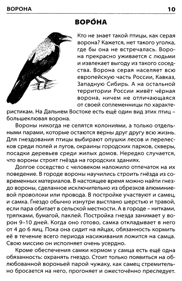 Татьяна Ситникова - Птицы России  - Страница № 11