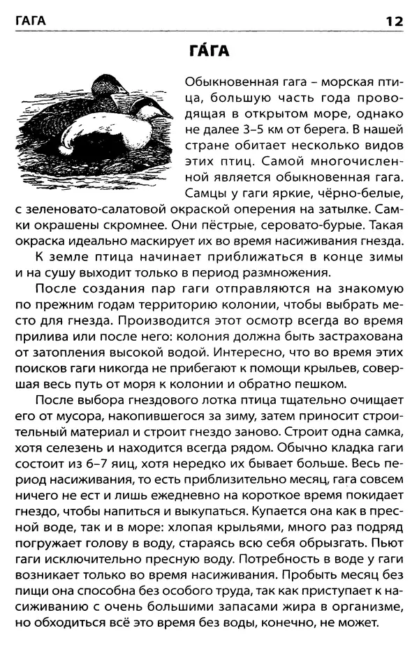 Татьяна Ситникова - Птицы России  - Страница № 13