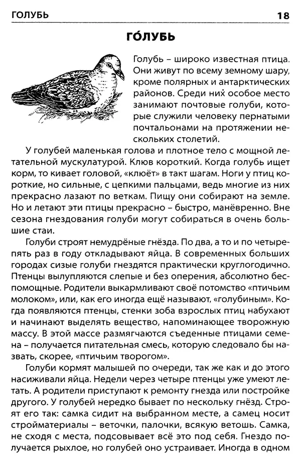 Татьяна Ситникова - Птицы России  - Страница № 19