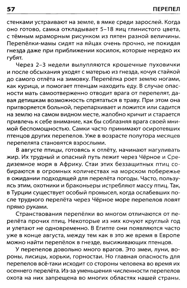 Татьяна Ситникова - Птицы России  - Страница № 58