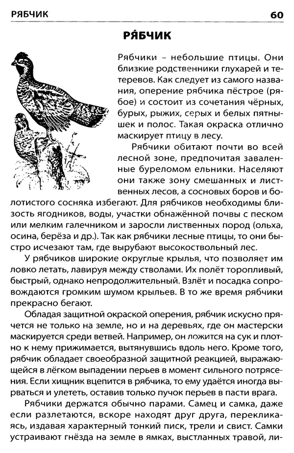 Татьяна Ситникова - Птицы России  - Страница № 61