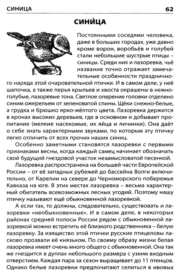 Татьяна Ситникова - Птицы России  - Страница № 63