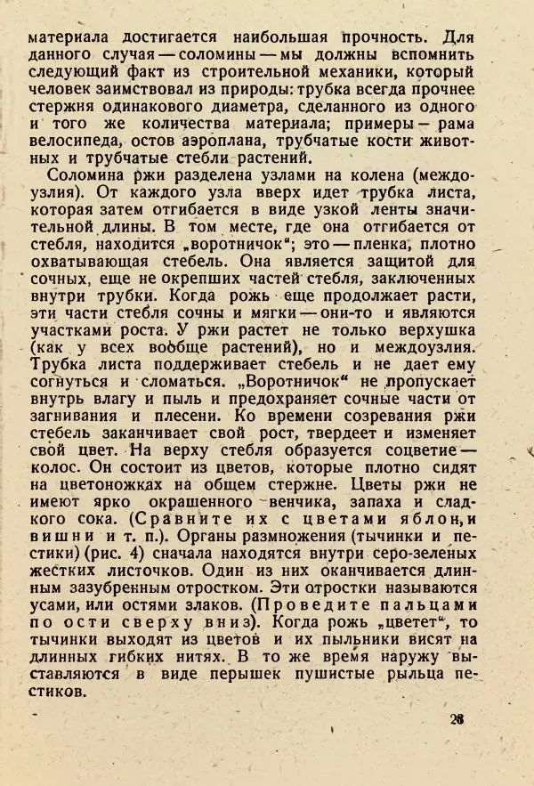 В. Ульянинский - Турист ботаник - Страница № 25