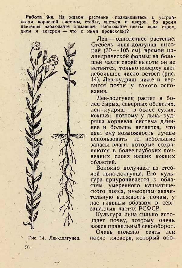 В. Ульянинский - Турист ботаник - Страница № 58