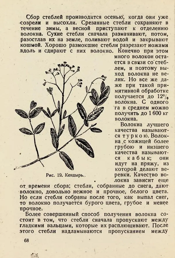 В. Ульянинский - Турист ботаник - Страница № 70