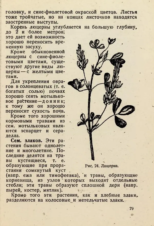 В. Ульянинский - Турист ботаник - Страница № 81