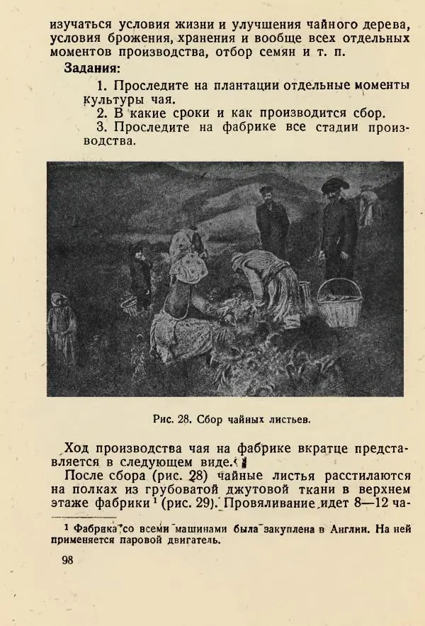 В. Ульянинский - Турист ботаник - Страница № 100