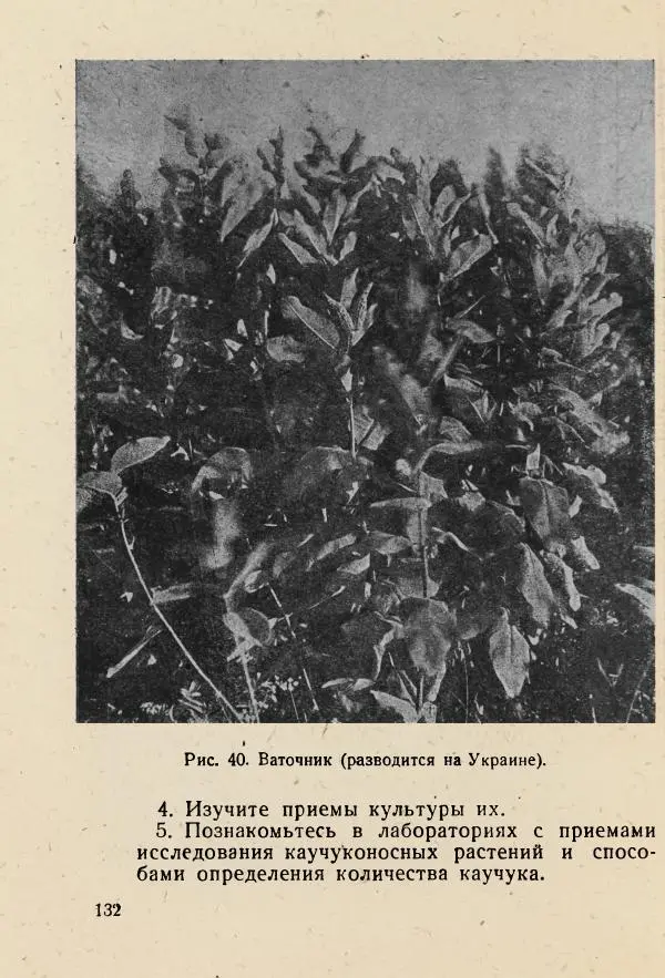 В. Ульянинский - Турист ботаник - Страница № 134