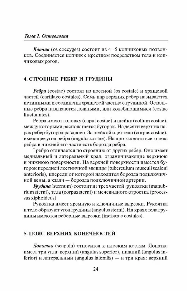 М Дроздова - Анатомия человека. Полный курс к экзамену - Страница № 24