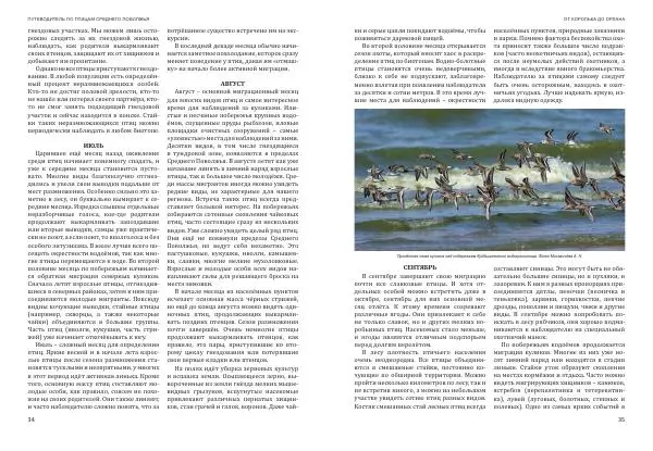  Коллектив авторов - От королька до орлана. Путеводитель по птицам Среднего Поволжья - Страница № 18