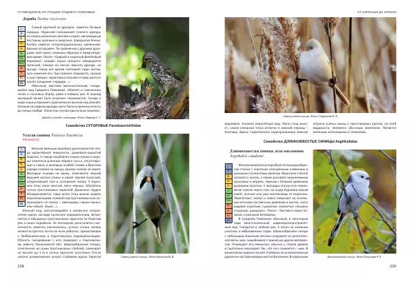  Коллектив авторов - От королька до орлана. Путеводитель по птицам Среднего Поволжья - Страница № 115