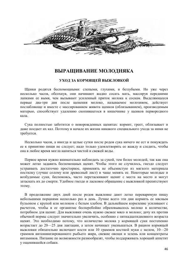 Владимир Соловьев - Гончие собаки - Страница № 46