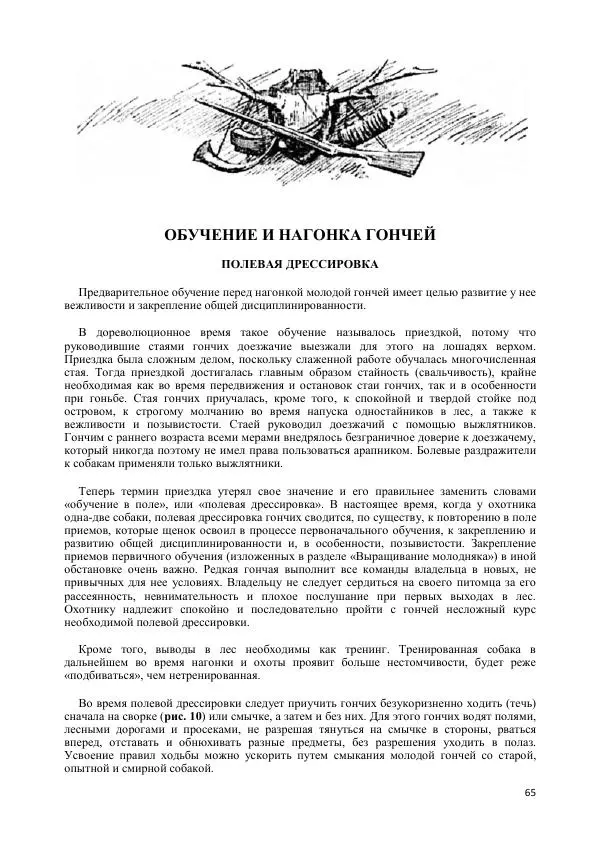 Владимир Соловьев - Гончие собаки - Страница № 65