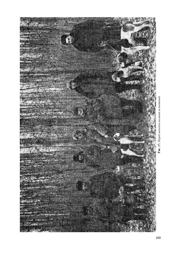 Владимир Соловьев - Гончие собаки - Страница № 100