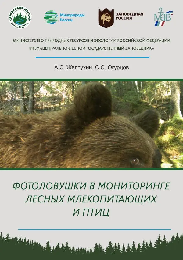 Анатолий Желтухин - Фотоловушки в мониторинге лесных млекопитающих и птиц - Страница № 1