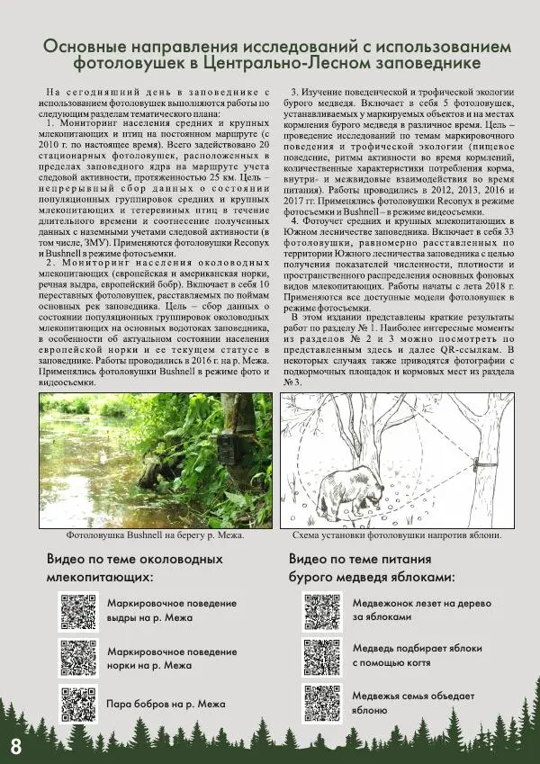 Анатолий Желтухин - Фотоловушки в мониторинге лесных млекопитающих и птиц - Страница № 10