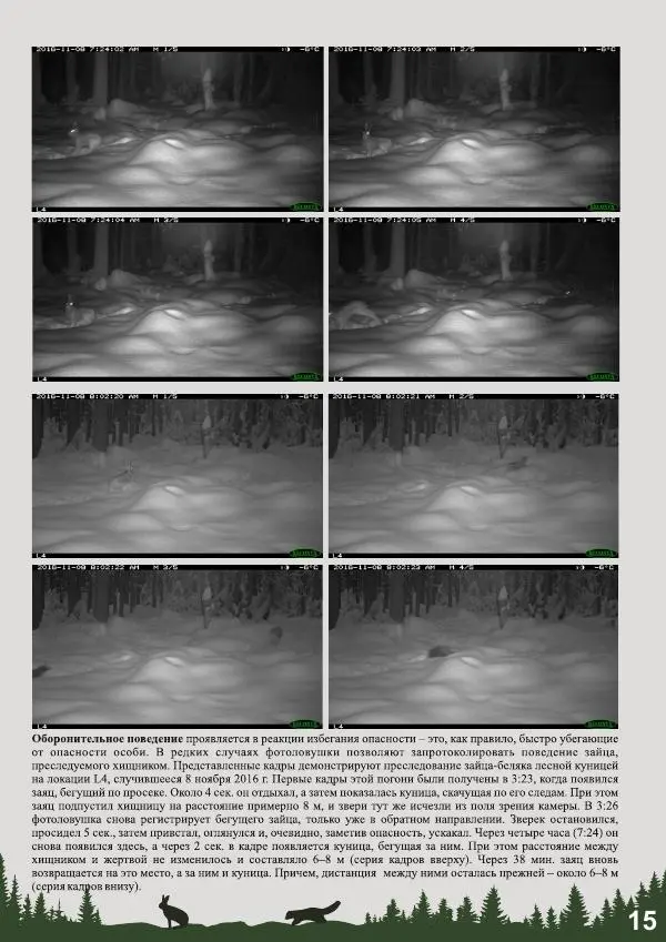 Анатолий Желтухин - Фотоловушки в мониторинге лесных млекопитающих и птиц - Страница № 17