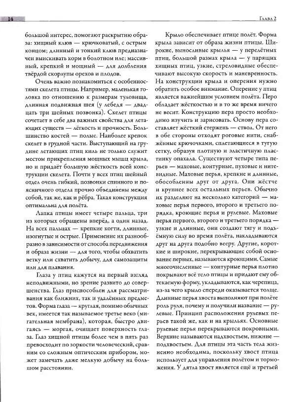 Мария Якушева - Трансформация природного мотива в орнаментальную декоративную форму - Страница № 15