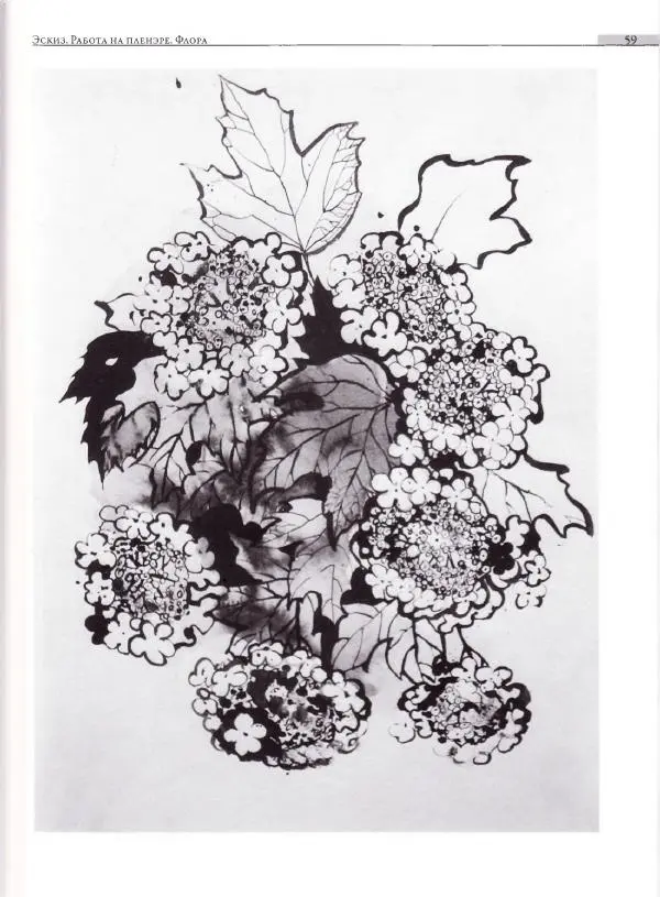 Мария Якушева - Трансформация природного мотива в орнаментальную декоративную форму - Страница № 60
