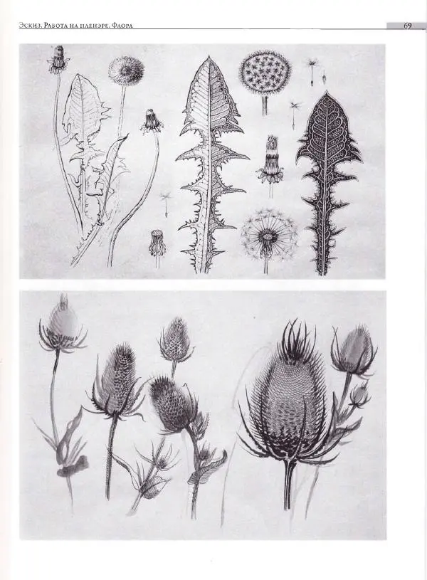 Мария Якушева - Трансформация природного мотива в орнаментальную декоративную форму - Страница № 70