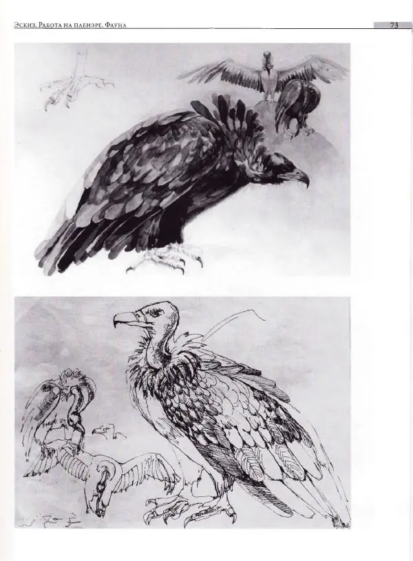 Мария Якушева - Трансформация природного мотива в орнаментальную декоративную форму - Страница № 74