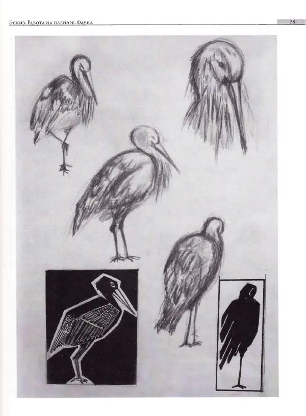 Мария Якушева - Трансформация природного мотива в орнаментальную декоративную форму - Страница № 80