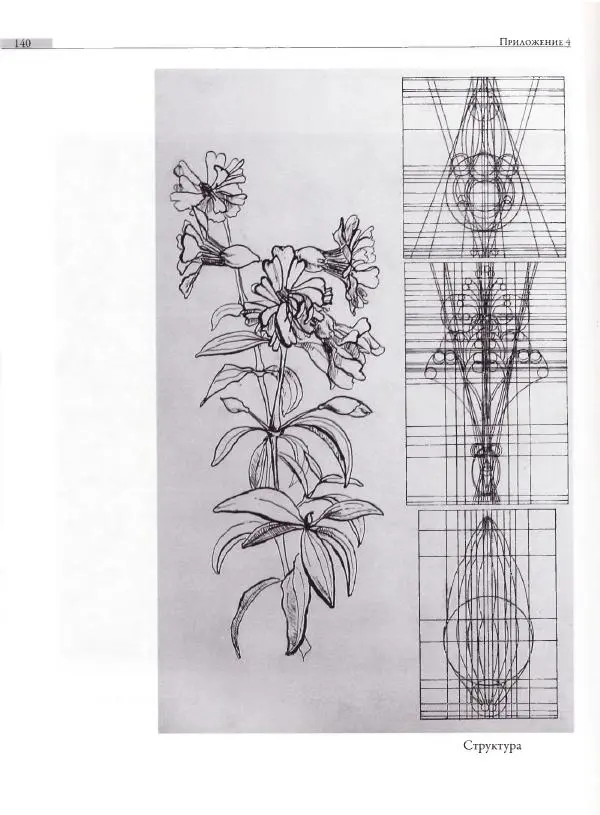 Мария Якушева - Трансформация природного мотива в орнаментальную декоративную форму - Страница № 141