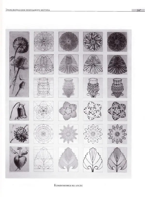 Мария Якушева - Трансформация природного мотива в орнаментальную декоративную форму - Страница № 148