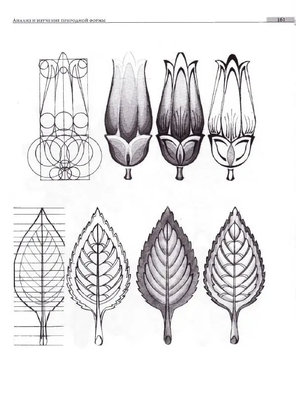 Мария Якушева - Трансформация природного мотива в орнаментальную декоративную форму - Страница № 162