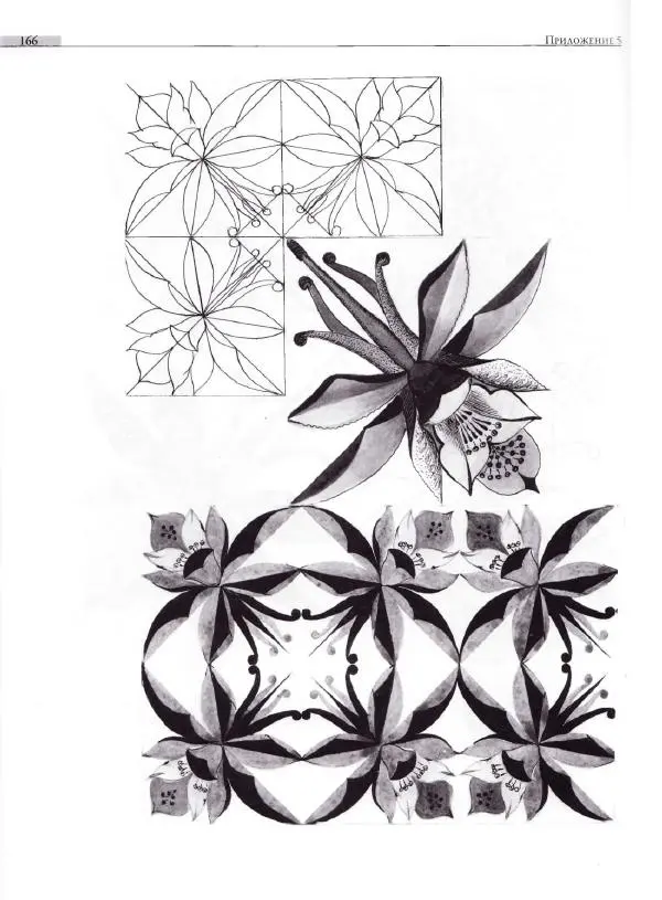 Мария Якушева - Трансформация природного мотива в орнаментальную декоративную форму - Страница № 167
