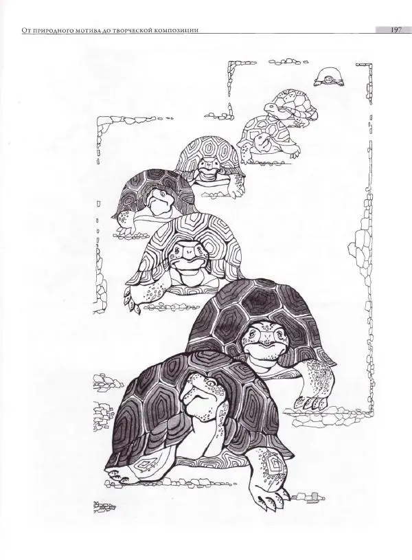 Мария Якушева - Трансформация природного мотива в орнаментальную декоративную форму - Страница № 198
