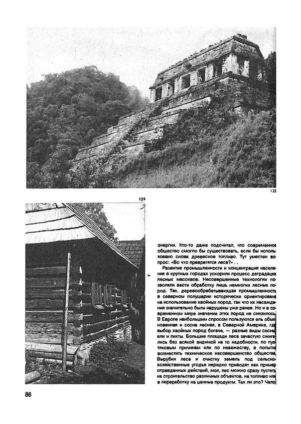 Ян Еник - Иллюстрированная энциклопедия лесов - Страница № 102