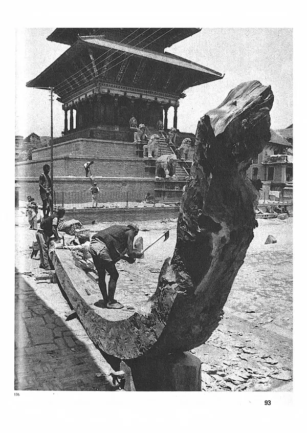 Ян Еник - Иллюстрированная энциклопедия лесов - Страница № 109