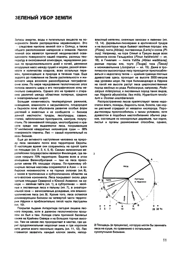 Ян Еник - Иллюстрированная энциклопедия лесов - Страница № 11