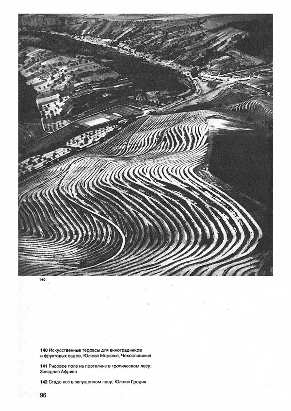 Ян Еник - Иллюстрированная энциклопедия лесов - Страница № 112